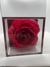 Load image into Gallery viewer, Red Rose box
